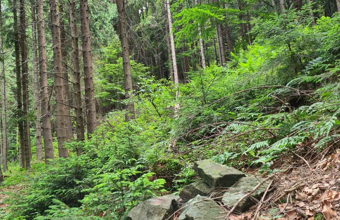 Adventure Therapy a leczenie depresji
